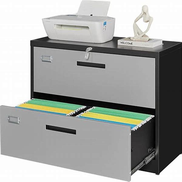 File With Lock-Kapsoula180 M Size FS Guneric