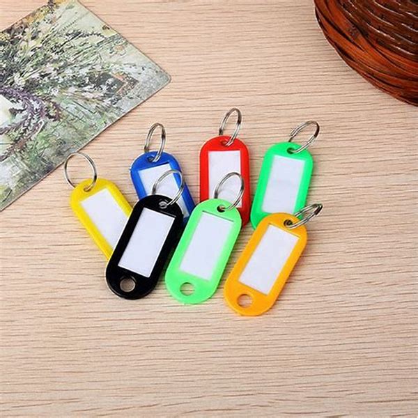 Key Holder Plastic Color P1006 BOX-30
