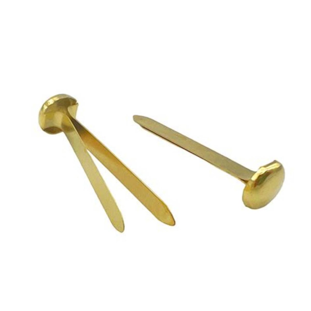 DL Fastaner 2 Wave Gold - 1097