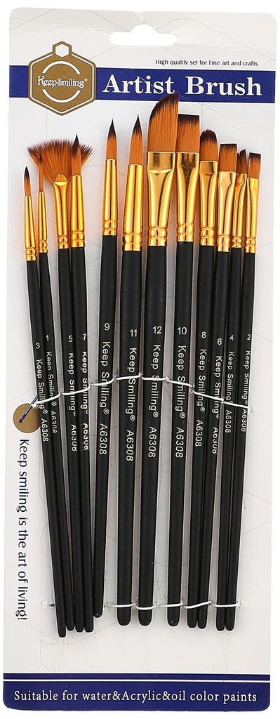 Brush Artist Set12-A6308-Varity- Keep Smiling